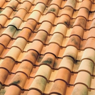 Teja-Mixta-TB-4-Nature-Vilaterra