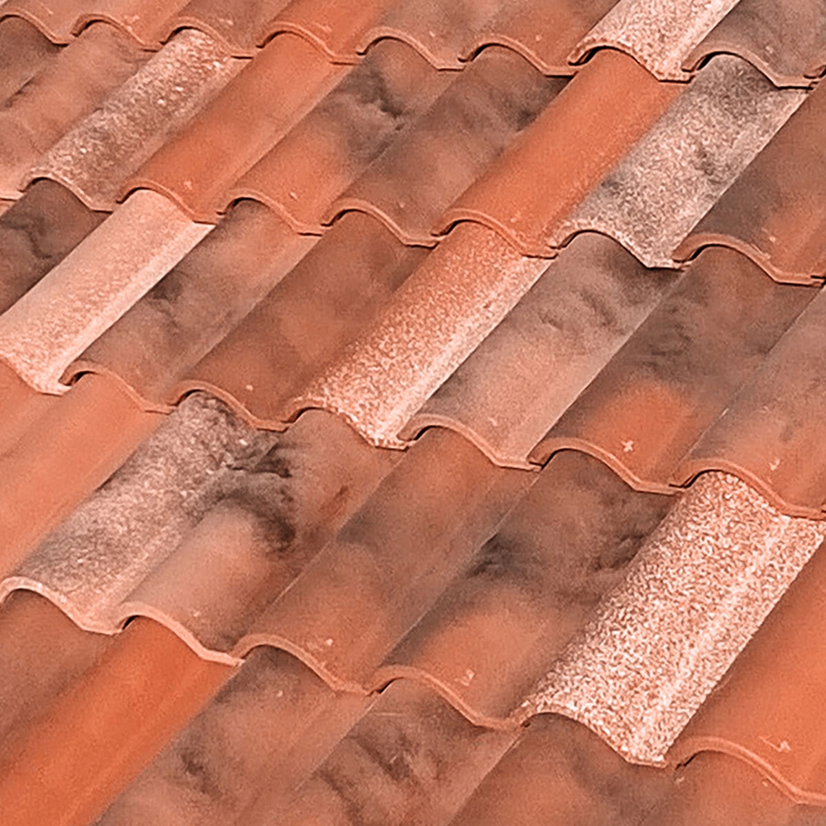 Teja-Mixta-TB-12-Nature-Castilla