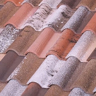 Tile-Mixed-TB-12-Centenário-Terra