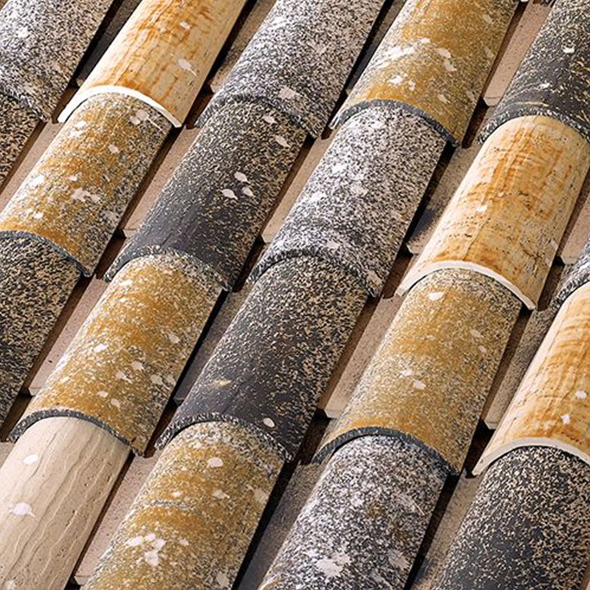 Teja-Mixta-TB-12-Centenaria-Mediterranea