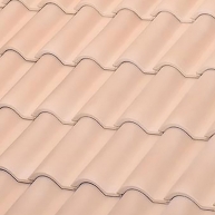 Teja-Mixta-TB-12-BorjaBlanc-Motté