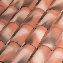 Curved Tile C-50.21 Nature Manoir 50 x 21 cm