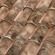 Tile-Curve-C-50.21-Nature-Edetania