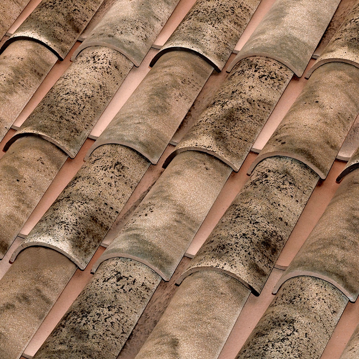 Tile-Curve-C-50.21-Nature-Edetania