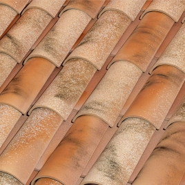 Curved Tile C-50.21 Nature Lamalou 50 x 21 cm