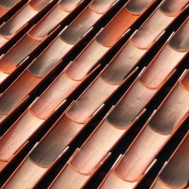 Carrelage Nature Talon Manoir 50 x 20,5 cm