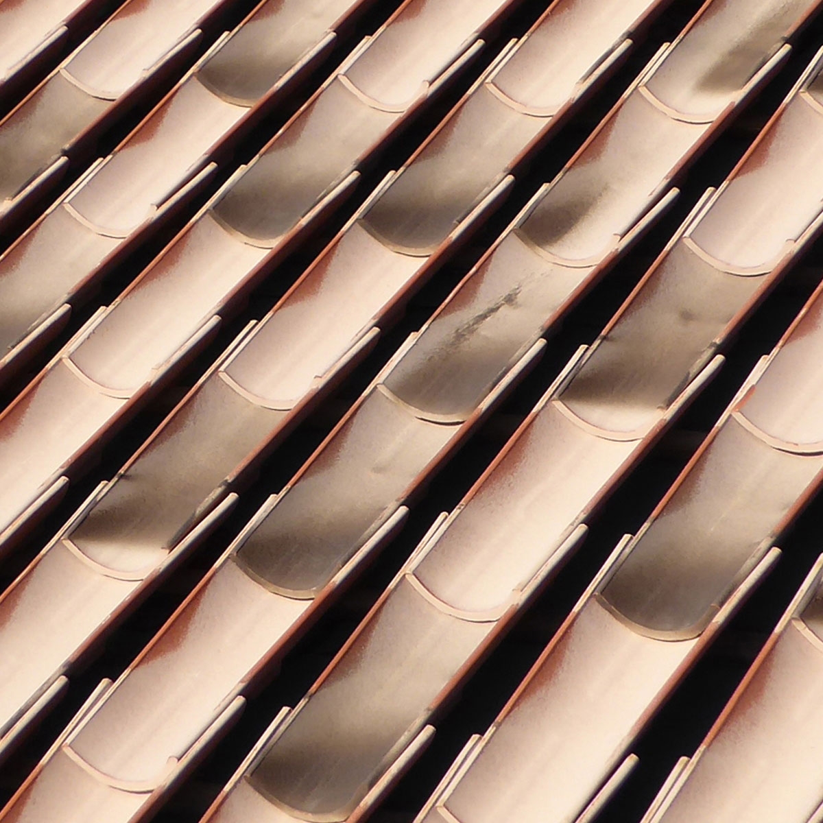 Tile-talon-Nature-Serrania-40-50