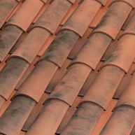 Tile-Natureza-Musgo-C-45-20