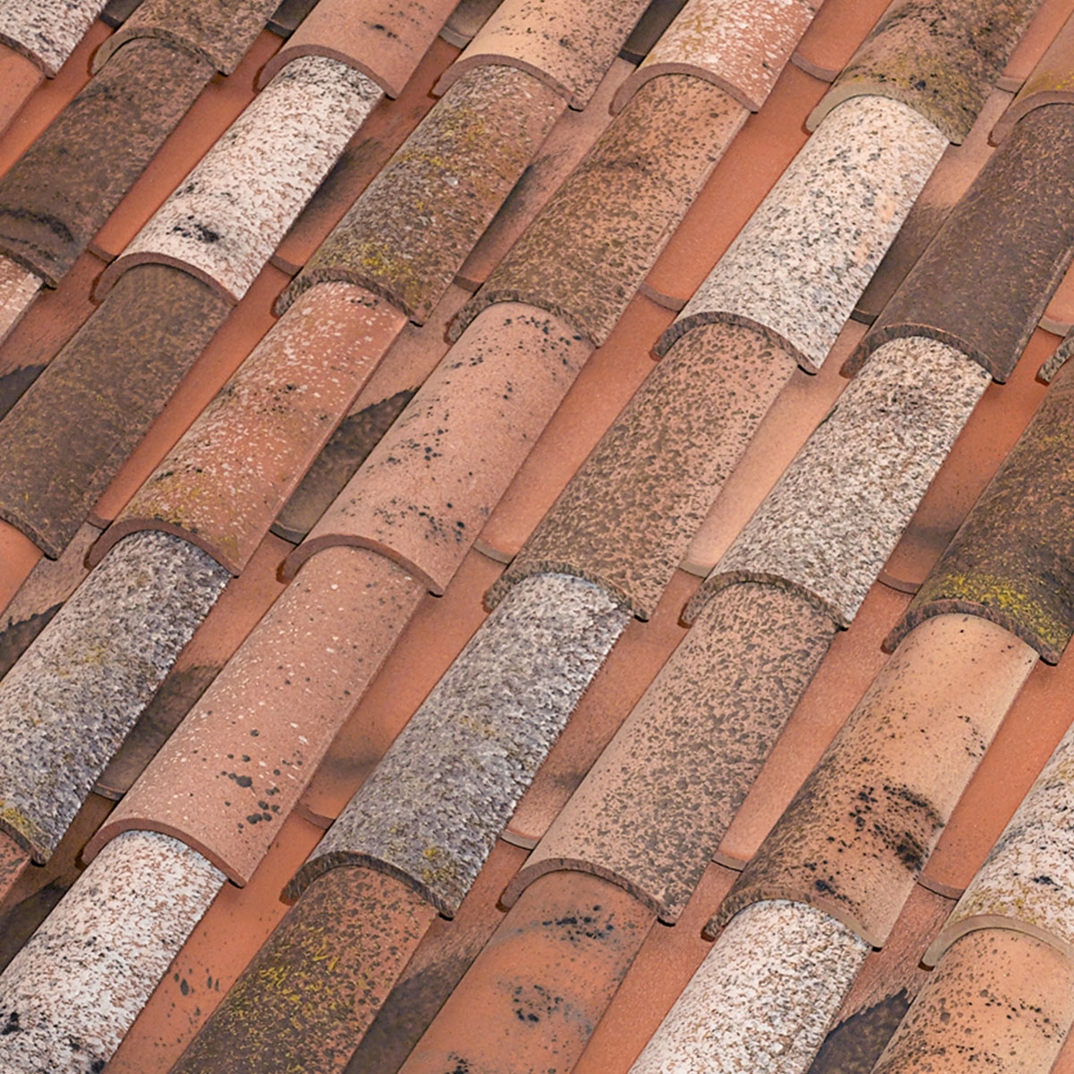 Tile-Centenário-Terra-C-40-15