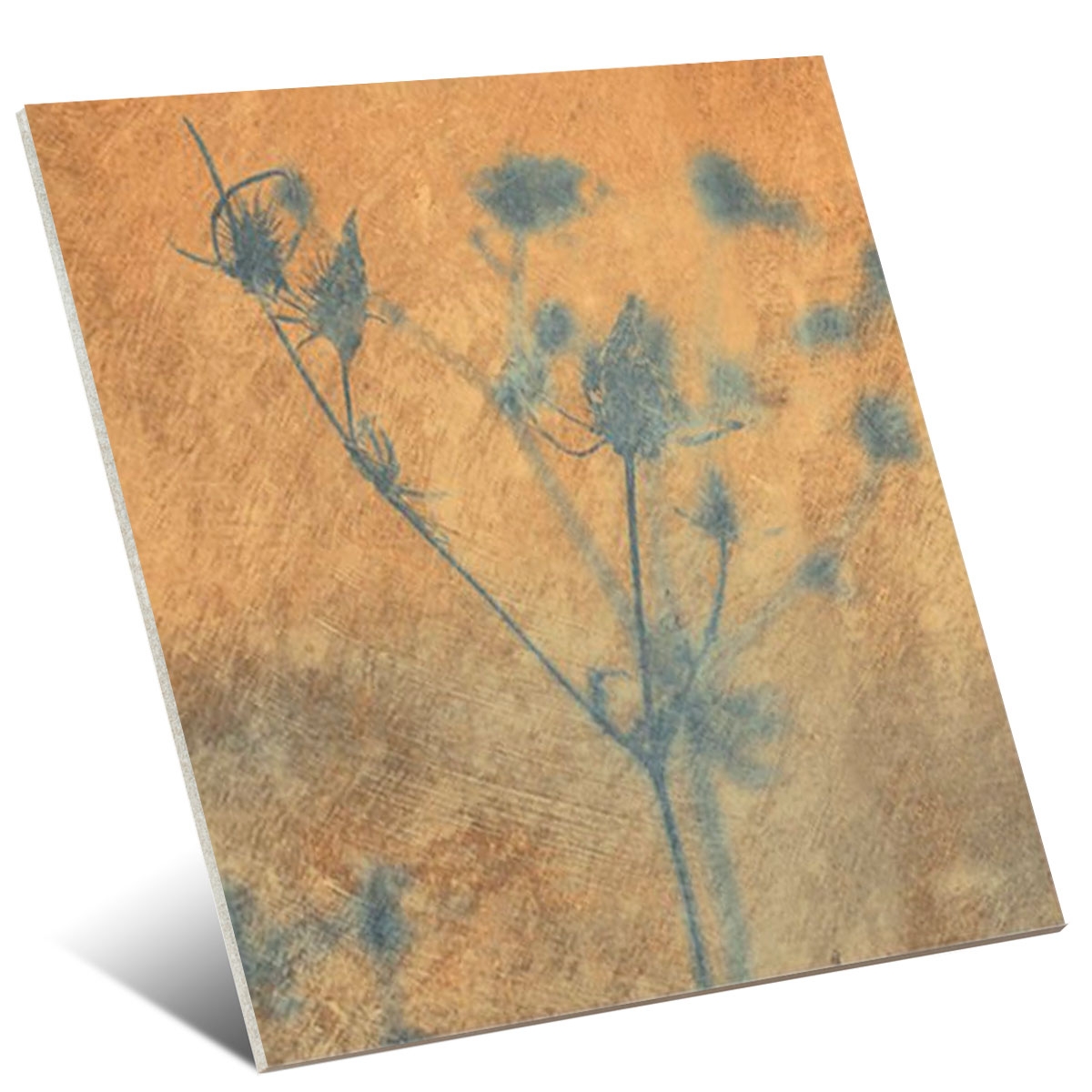 Taco-Herbal-Aqua-gayafores-4