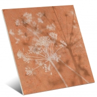 Taco-Herbal-Naturel-gayafores-1