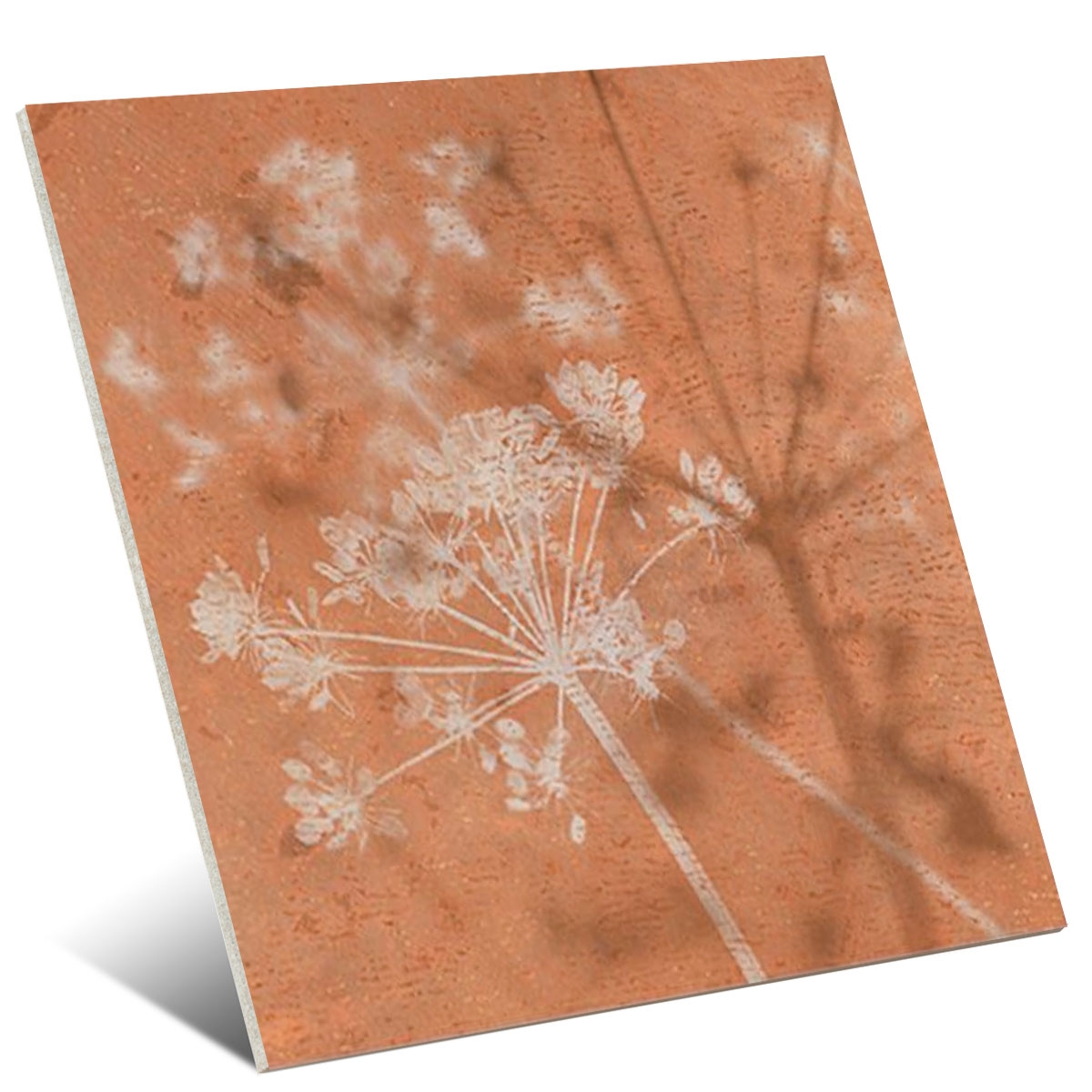 Taco-Kräuter-Natürlich-Gayafores-1