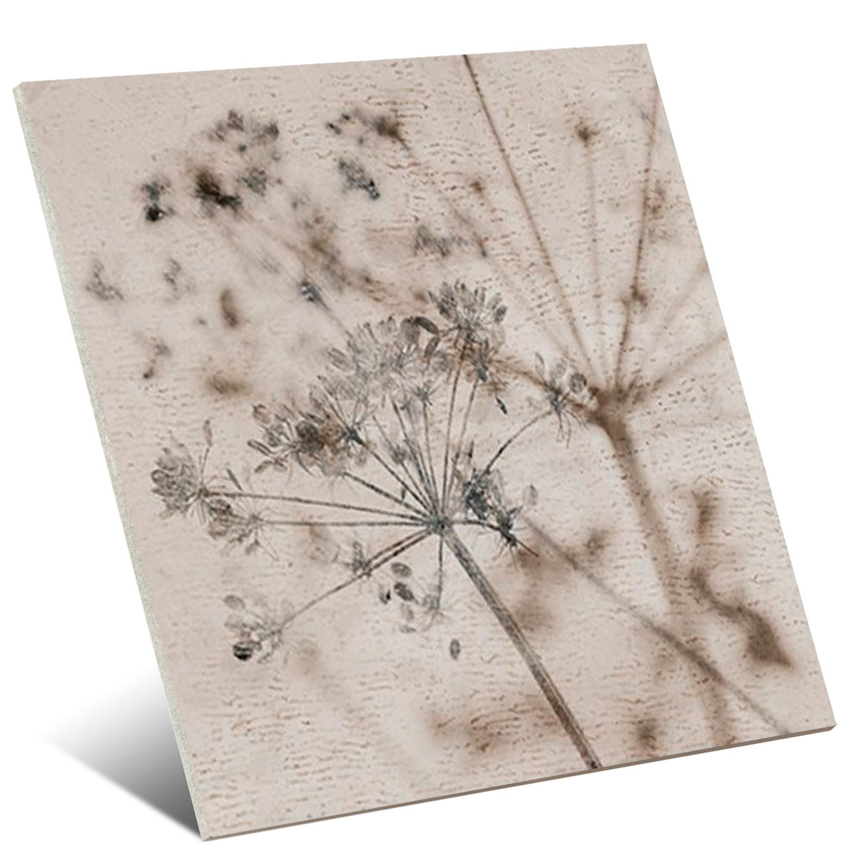 Taco-Herbal-Amêndoa-gayafores-4