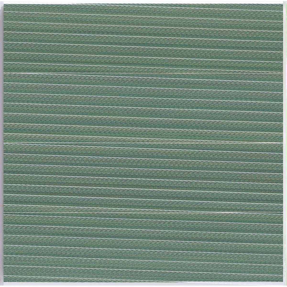 Amb-Lugano-Esmeraldo-mainzu-3