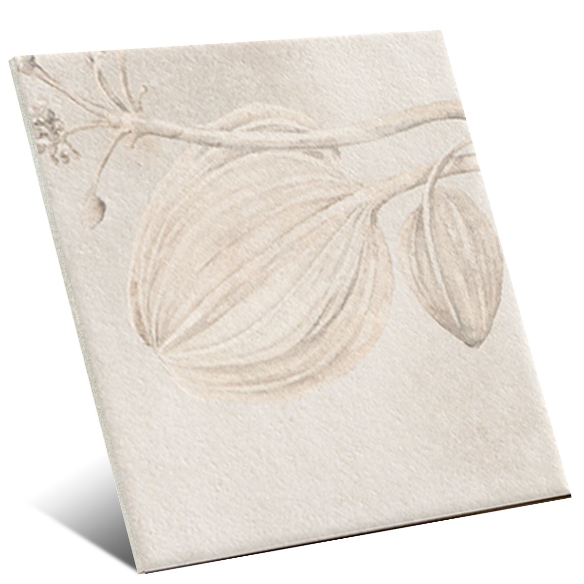 Kamelia-White-Mainzu