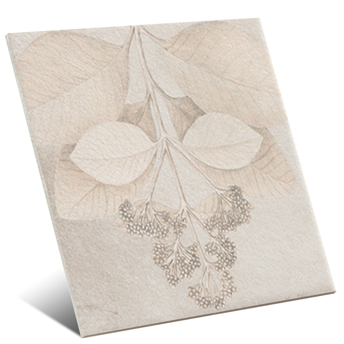 Kamelia-White-Mainzu-2