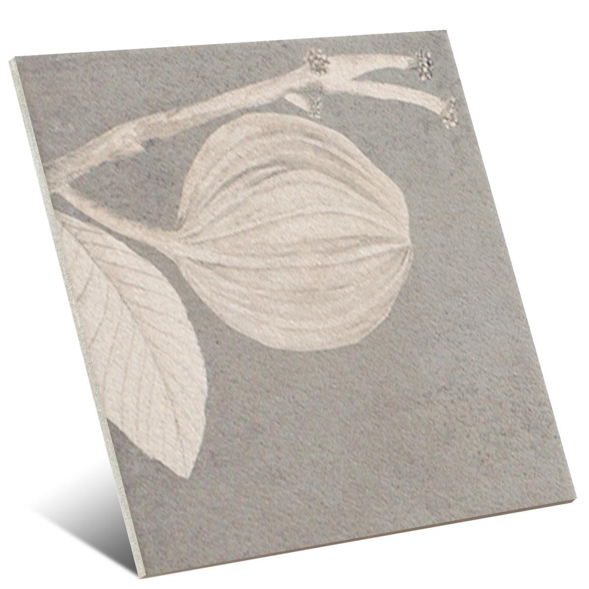 Kamelia-Grey-Mainzu-4