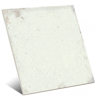 Mayolica-Planície-Harmony