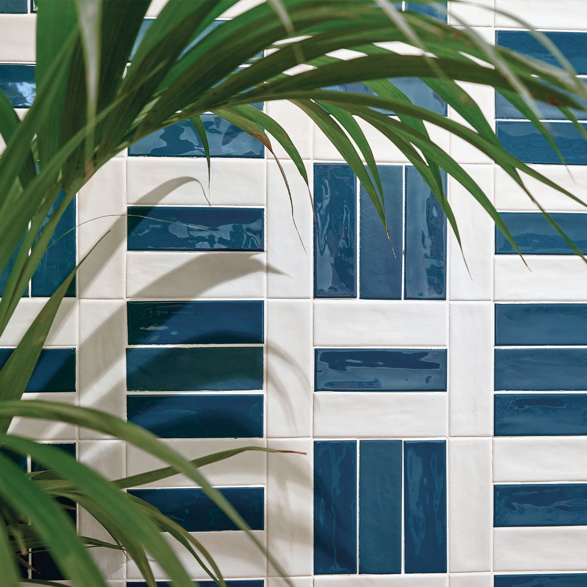 Amb-Glint-White-Brillo-Harmony