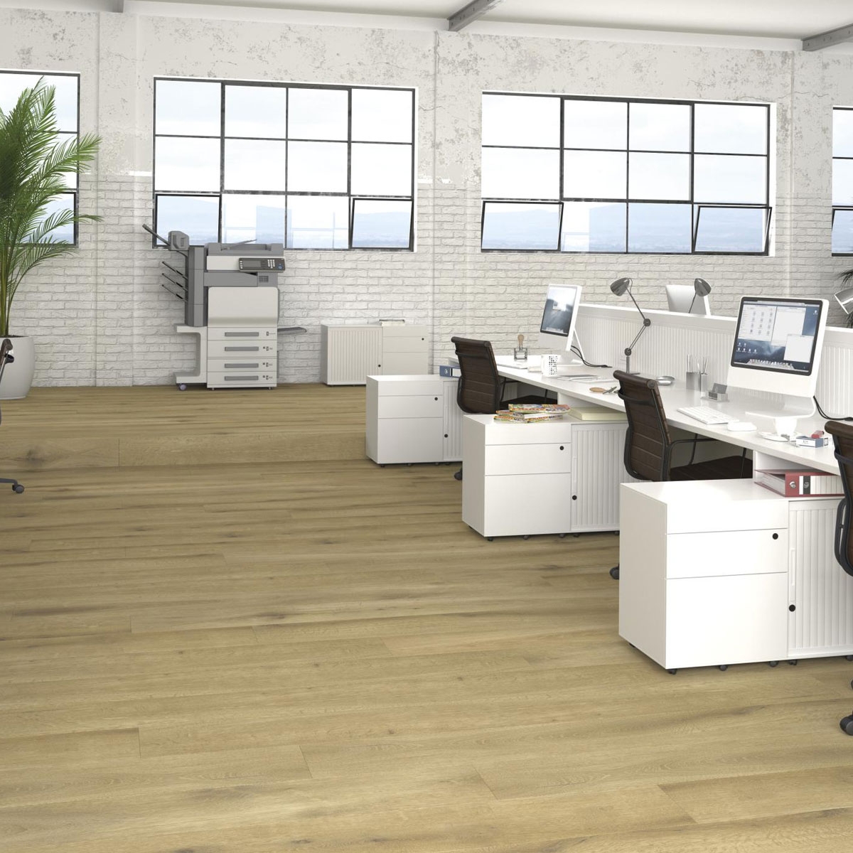 Forestas-canela-de-dune-oficina