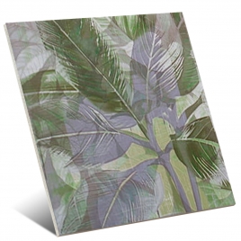 Secrets Vert 20x20 (Carton de 1m2)