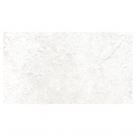 Manhattan White Brick 12 x 24.5 cm (box 1.09 m2)