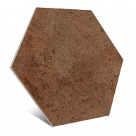 Physis Bold Hexagon