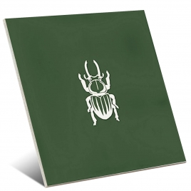 Ager-4 Vert 13x13 Boîte de 4 pièces