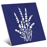 Arvum-4 Blau 13x13