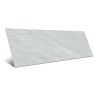 Roses Gray 25x75