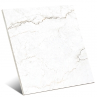 Colbert White 120x120 (Box 1,44m²)