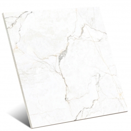 Colbert White Polished 120x120 (Box of 1.44m2)