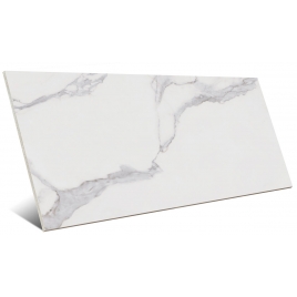 Godina White Mate 60x120 (Box of 1.44m2)