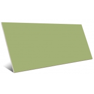 Trendy Matcha Mate 25x50 (Box of 2m2)