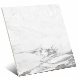 Altissimo Branco Brilho 60x60 (Caixa de 1.44m2)