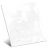 Aqua White 15x15 (Caja 0.585m2)