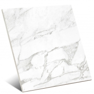 Carrara White Brillo 60x60 (Caja 1.44m2)
