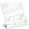 Carrara White Gloss 60x60 (Box 1,44m²)