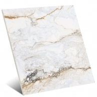 CR Pisa Gold Poliert 120x120 (Box 1,44m²)