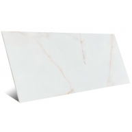 Gelsa Oro Pulido 60x120 (Caja 1.44m2)