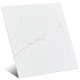 Acquilea Gold 120X120 (Box 1.44m2)