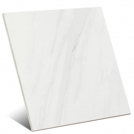 Lenci White 120x120 (Box 1,44m²)