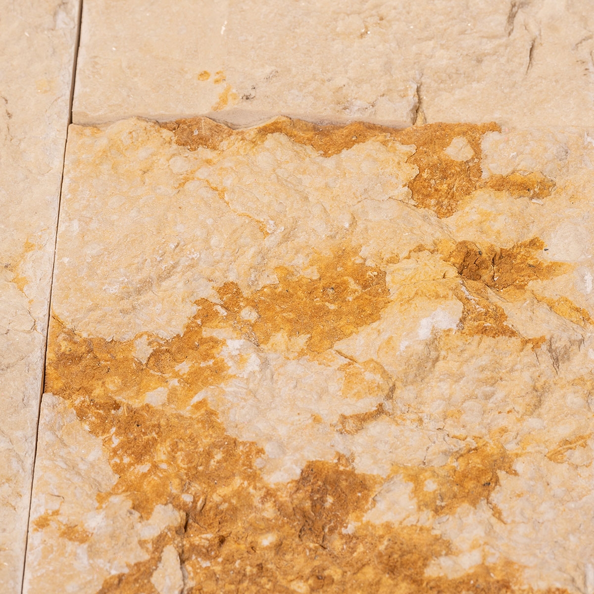 Details zur Almedina-Creme