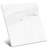 Calacata White 120x120 (Box 1.44m2)