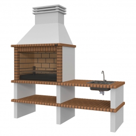 Barbecue with Countertop, Sink and Faucet Nisa Templar-Brown