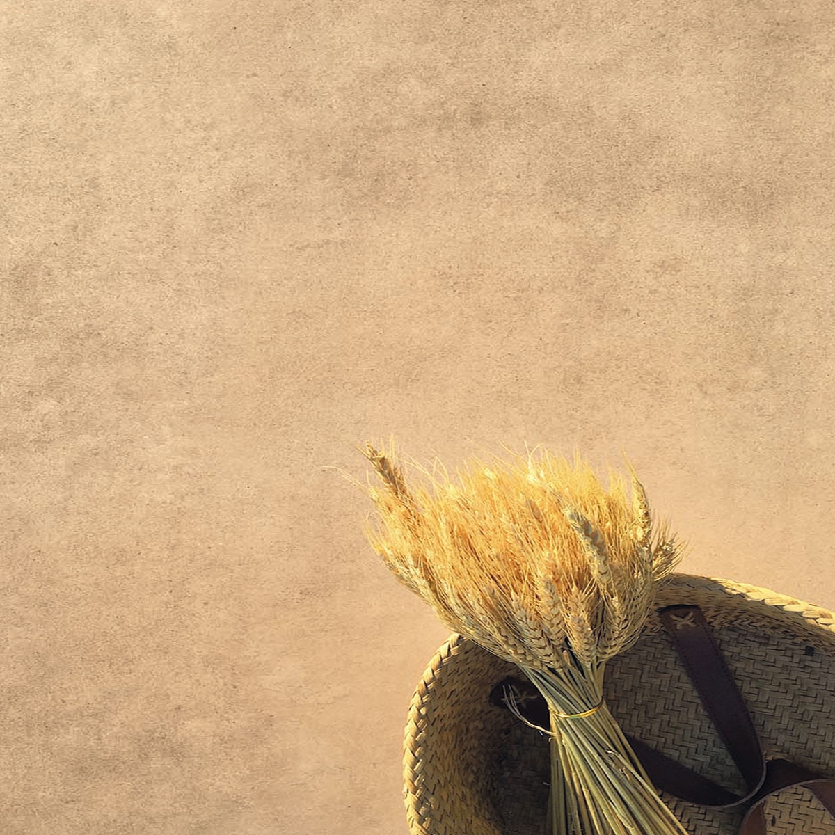 Pavimento imitación piedra Cotto Antideslizante Boho 90x90 (Caja 1.62m2)