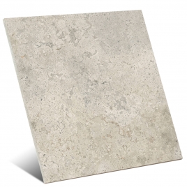 Baltimore 1827 Gris 100x100 (Boîte 1m2)