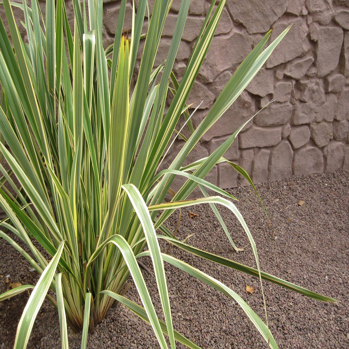 Exterior con revestimiento Panel de Piedra Kahala OLDStones Rojiza