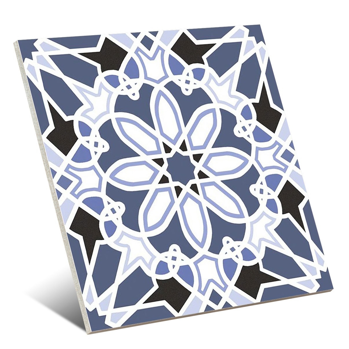 Goya 22 de 22x22 (Boîte 1,01 m2) Série Goya-Dali Cerlat