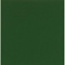 Glossy Colour Verde - Coleção Glossy Colours - Marca Mainzu